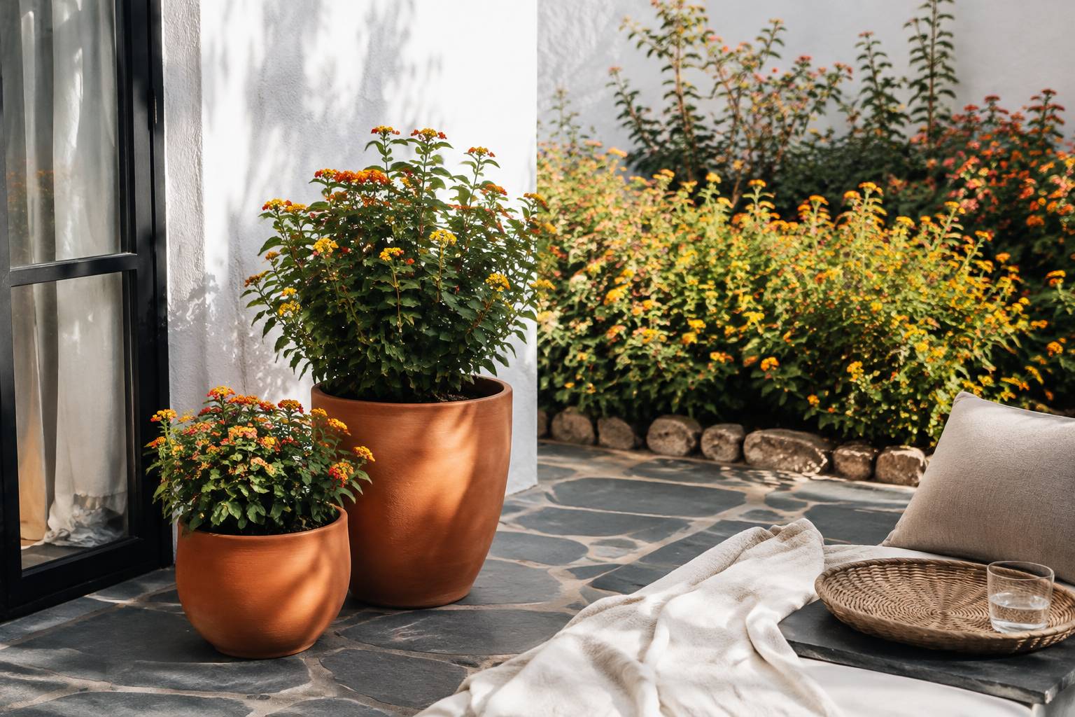Lantanas en pot sur un balcon et en pleine terre contre un mur abrité